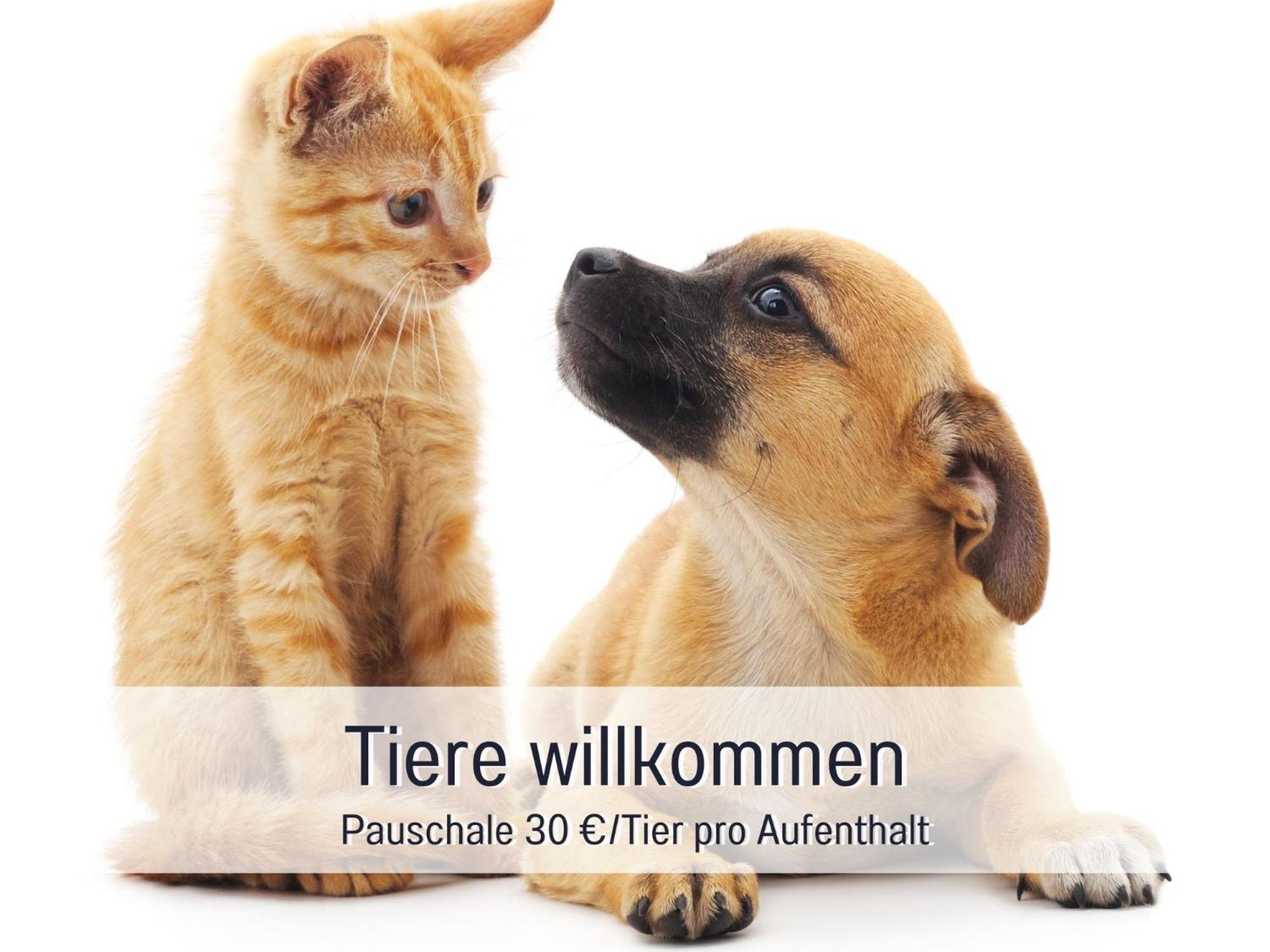 Rosmarin - Kuschelige Fewo - Romantik & Entspannung Im Whirlpool Auf Privater Terrasse, Ruhe & Hund Willkommen - By Ferienwohnenamsee - ユーバーリンゲン エクステリア 写真